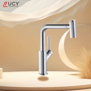 Vòi Rửa Bát nóng lạnh LC - VRB 308