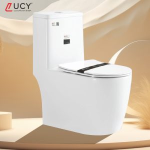 Bồn cầu một khối LC - B8116